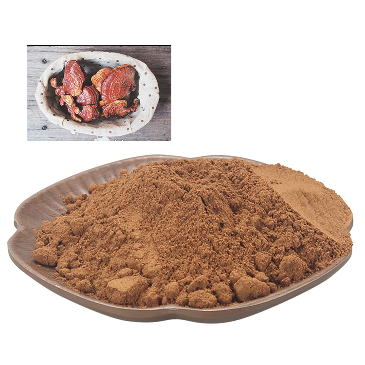 Get Ganoderma Lucidum Extract Powder High Potency - Boost Vitality Naturally